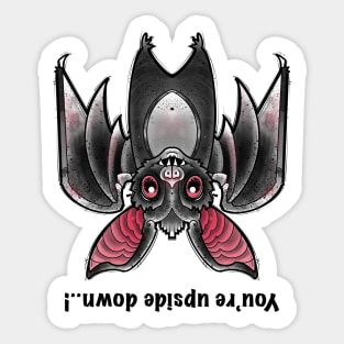 Youre upside down ..! Cute bat hanging out Sticker